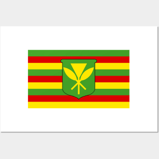 Kanaka Hawai’i Flag Posters and Art